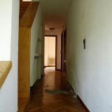 Antes004