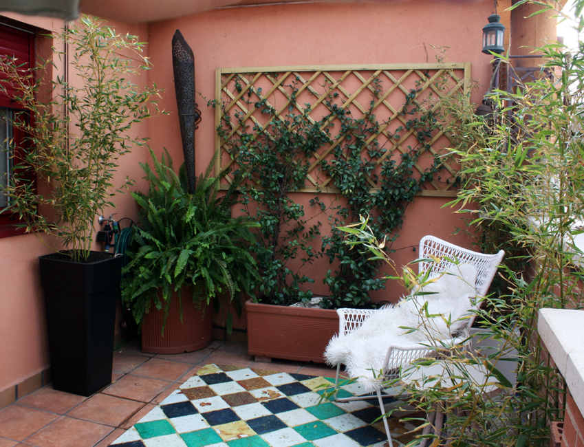 Terraza