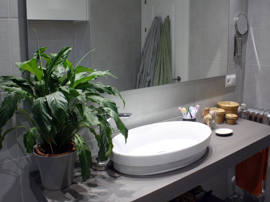 DetalleBaño